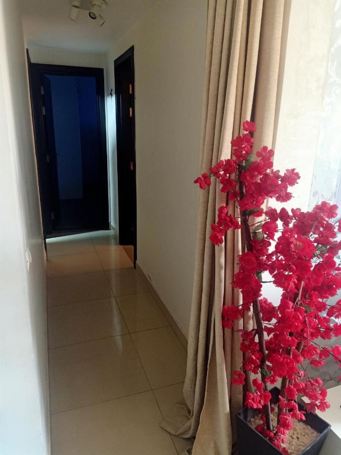 Fully Furnished Apartment At Ocean Blue Compound カイロ エクステリア 写真